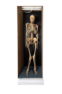 Image description is not available for 1983.39.1